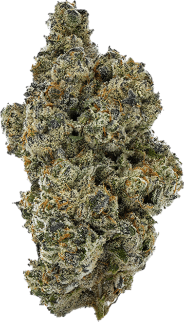 French Toast image 1